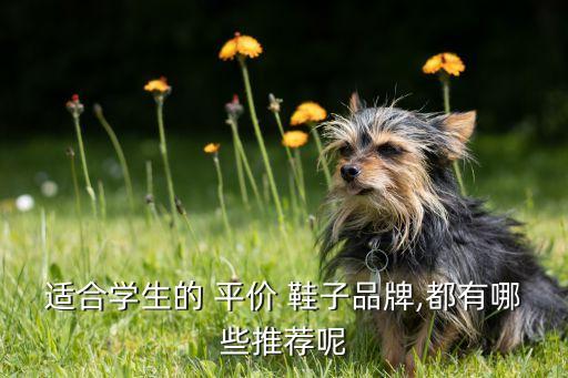 适合学生的 平价 鞋子品牌,都有哪些推荐呢