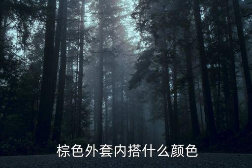 棕色外衣搭配裙子,泡泡袖裙子怎么搭配外衣