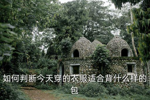 如何判断今天穿的衣服适合背什么样的包