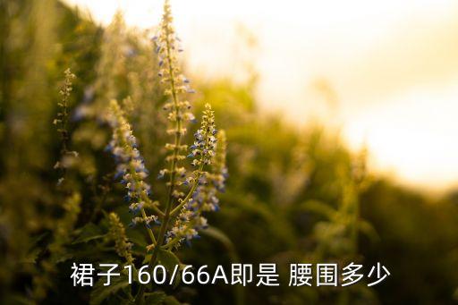  裙子160/66A即是 腰围多少