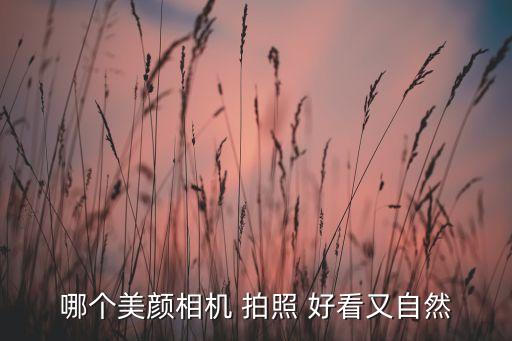 哪个美颜相机 拍照 好看又自然