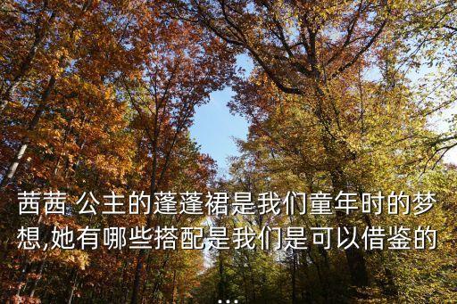 公主穿搭的裙子,黑色公主裙子搭什么项链