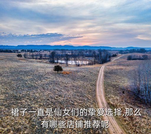  裙子一直是仙女们的挚爱选择,那么有哪些店铺推荐呢