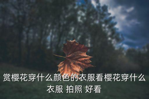 赏樱花穿什么颜色的衣服看樱花穿什么衣服 拍照 好看
