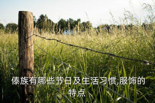  傣族有哪些节日及生活习惯,服饰的特点
