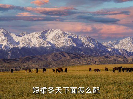 短裙冬天下面怎么配