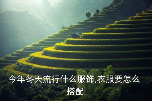 明星冬装裙子搭配,冬装半身裙子搭配图片