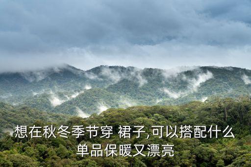 冬天好看裙子套装,冬天穿什么裙子最保暖又好看