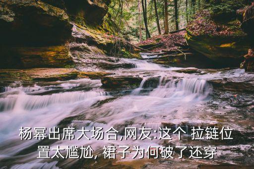 杨幂出席大场合,网友:这个 拉链位置太尴尬, 裙子为何破了还穿