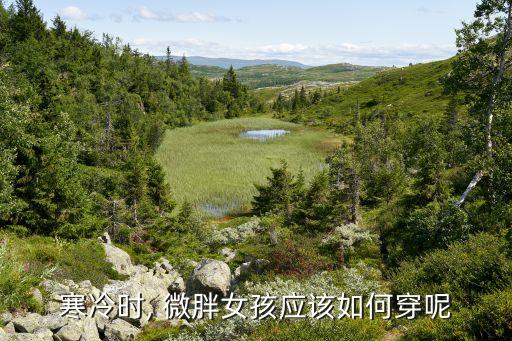 微胖欧美冬天裙子穿搭,微胖女人冬天穿什么裙子好看