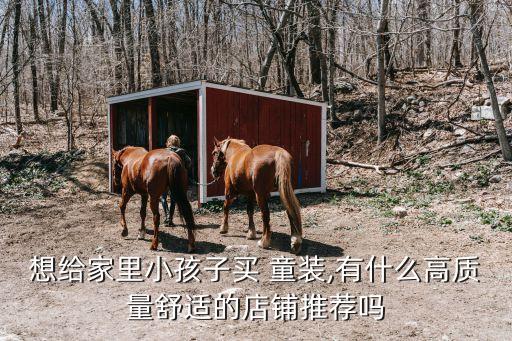 想给家里小孩子买 童装,有什么高质量舒适的店铺推荐吗