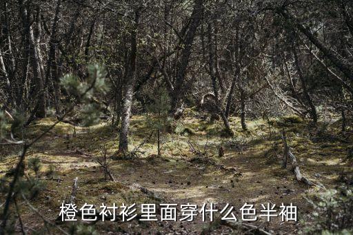 橙色衬衣搭配白裙子,橙色可以搭配柠檬黄衬衣吗