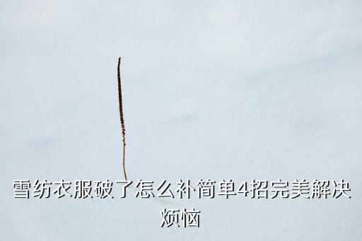 雪纺衣服破了怎么补简单4招完美解决烦恼