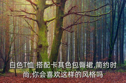 白色T恤 搭配卡其色包臀裙,简约时尚,你会喜欢这样的风格吗