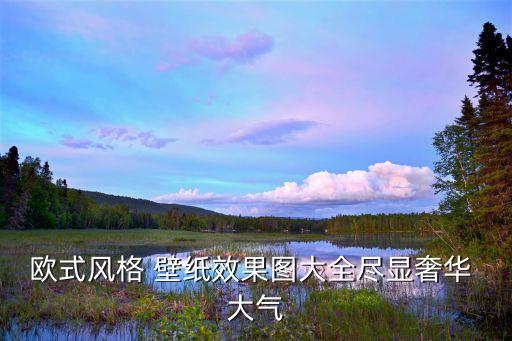 欧式风格 壁纸效果图大全尽显奢华 大气