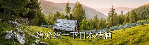 给介绍一下日本桔酒
