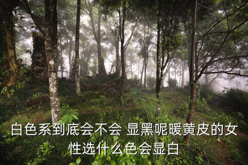 白色系到底会不会 显黑呢暖黄皮的女性选什么色会显白