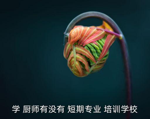 学 厨师有没有 短期专业 培训学校