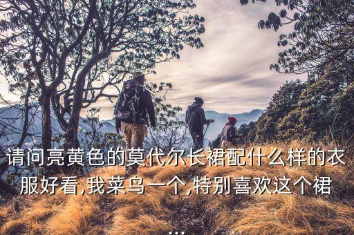 请问亮黄色的莫代尔长裙配什么样的衣服好看,我菜鸟一个,特别喜欢这个裙...
