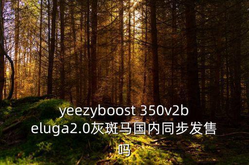 yeezyboost 350v2beluga2.0灰斑马国内同步发售吗