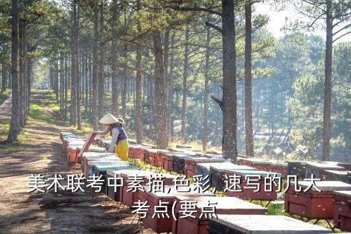 速写穿大裙子好看吗