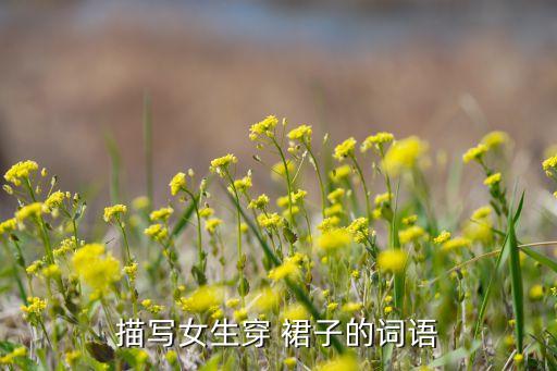 描写女生穿 裙子的词语