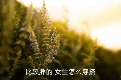 比较胖的 女生怎么穿搭