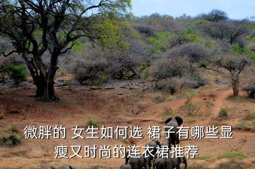 女生微胖穿搭春天裙子,适合微胖女生的秋冬穿搭