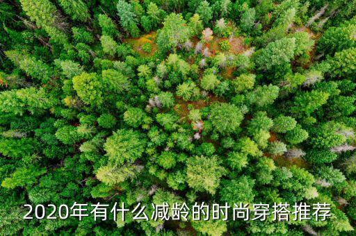2020年有什么减龄的时尚穿搭推荐