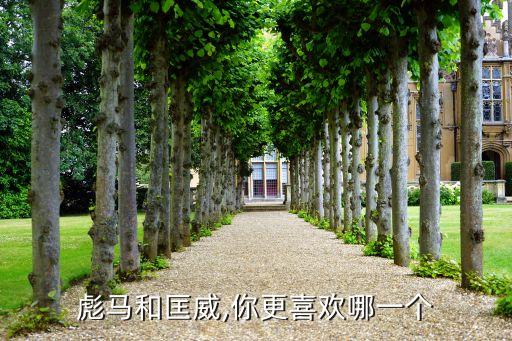 彪马和匡威,你更喜欢哪一个