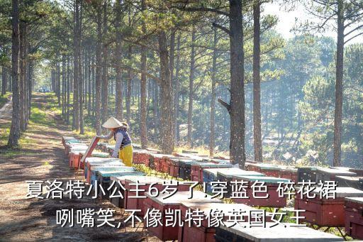 夏洛特小公主6岁了!穿蓝色 碎花裙咧嘴笑,不像凯特像英国女王