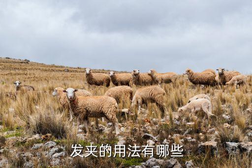  发夹的用法有哪些