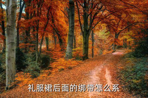 礼服裙后面的绑带怎么系