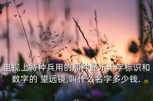 电视上特种兵用的那种显示十字标识和数字的 望远镜,叫什么名字多少钱...
