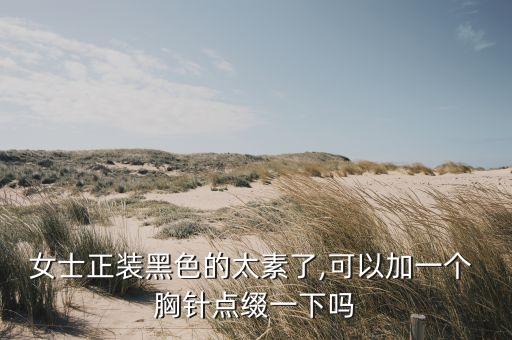 女士正装黑色的太素了,可以加一个 胸针点缀一下吗