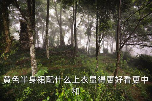 黄色半身裙配什么上衣显得更好看更中和