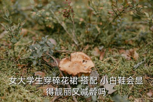 女大学生穿碎花裙 搭配 小白鞋会显得靓丽又减龄吗