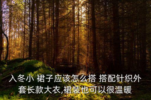 羊毛裙子搭配羽绒,灰色羊毛裙子搭配图片
