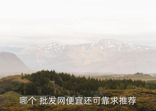 哪个 批发网便宜还可靠求推荐