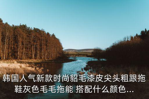 韩国人气新款时尚貂毛漆皮尖头粗跟拖鞋灰色毛毛拖能 搭配什么颜色...