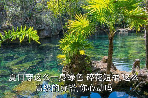 超好看夏季碎花裙子,黑白小碎花裙子配什么上衣好看