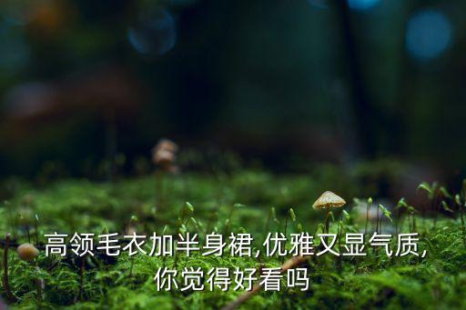  高领毛衣加半身裙,优雅又显气质,你觉得好看吗