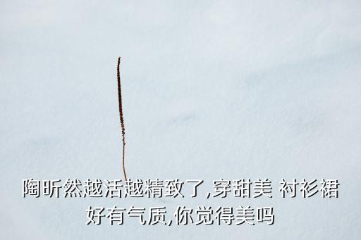 灰白条纹衬衫裙子图片