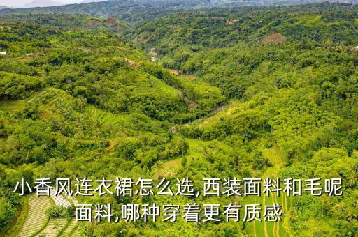 小香风连衣裙怎么选,西装面料和毛呢面料,哪种穿着更有质感