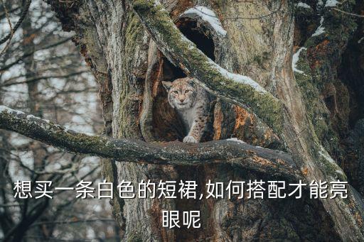 舞蹈裙子拍照好看图片,去海边穿什么裙子拍照好看