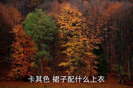 衣服搭配颜色裙子怎么搭配,灰色衣服搭配什么颜色的裙子