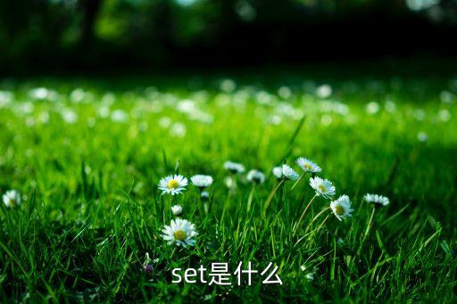 set是什么