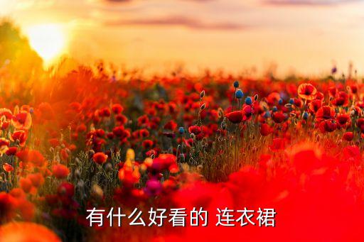 中年女秋连衣裙新款,中年连衣裙长裙新款图片