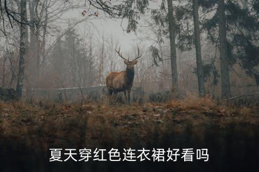 夏天穿红色连衣裙好看吗