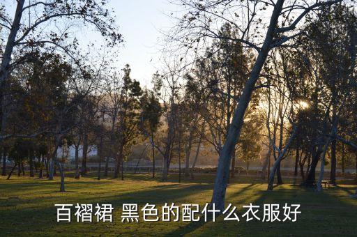 百褶裙 黑色的配什么衣服好